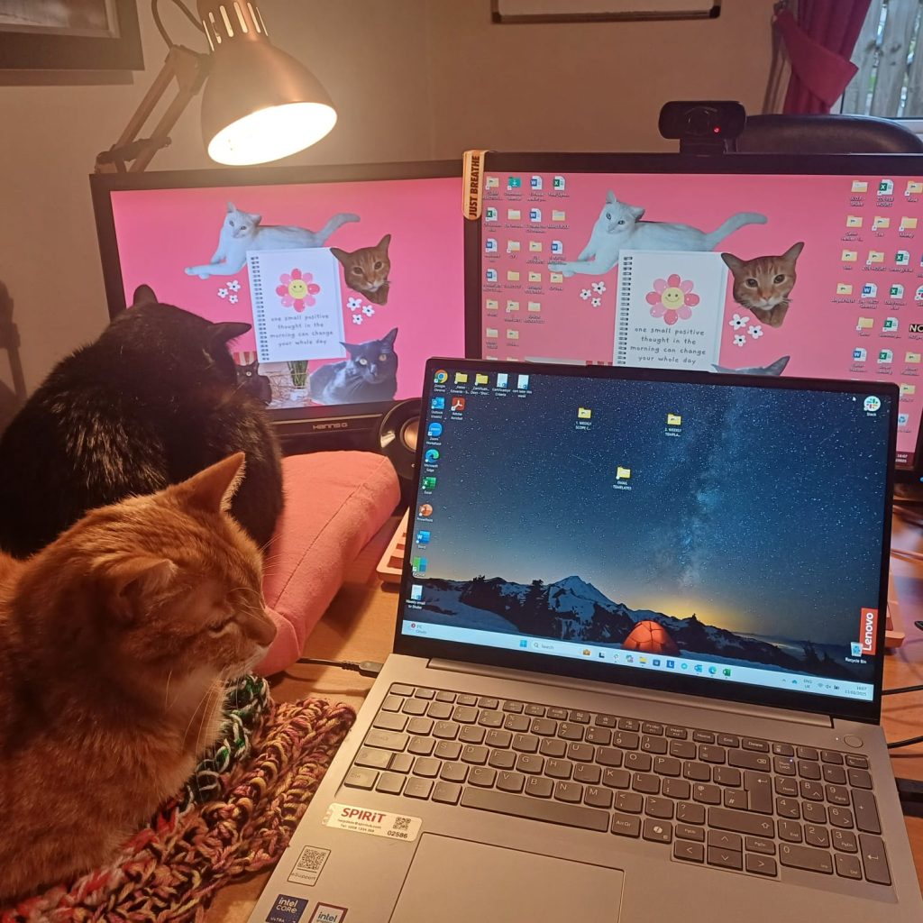 02_laptop